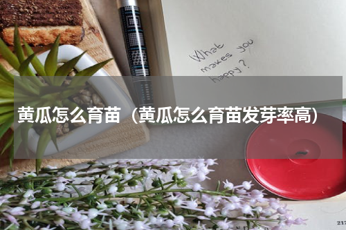 黄瓜怎么育苗（黄瓜怎么育苗发芽率高）
