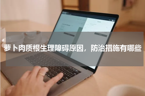 萝卜肉质根生理障碍原因，防治措施有哪些
