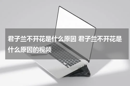 君子兰不开花是什么原因 君子兰不开花是什么原因的视频