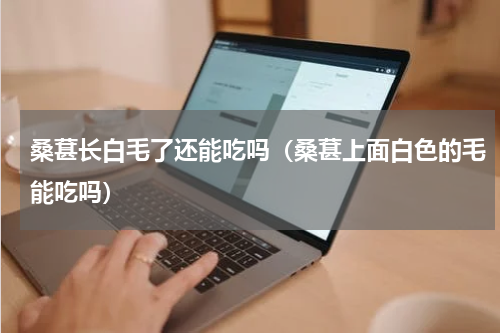 桑葚长白毛了还能吃吗（桑葚上面白色的毛能吃吗）