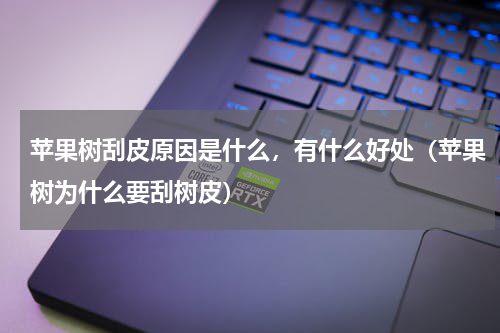苹果树刮皮原因是什么，有什么好处（苹果树为什么要刮树皮）