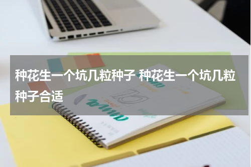 种花生一个坑几粒种子 种花生一个坑几粒种子合适