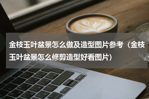 金枝玉叶盆景怎么做及造型图片参考（金枝玉叶盆景怎么修剪造型好看图片）