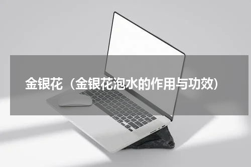 金银花（金银花泡水的作用与功效）