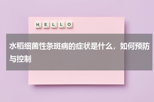水稻细菌性条斑病的症状是什么，如何预防与控制