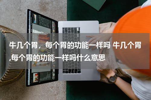 牛几个胃，每个胃的功能一样吗 牛几个胃,每个胃的功能一样吗什么意思
