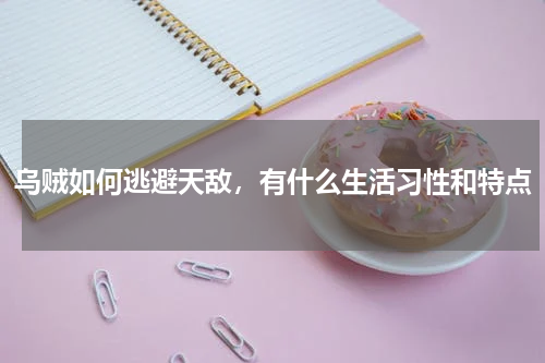 乌贼如何逃避天敌，有什么生活习性和特点
