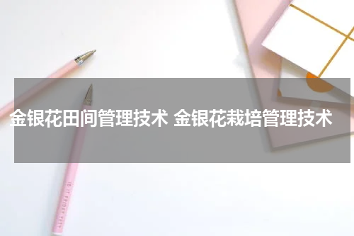 金银花田间管理技术 金银花栽培管理技术