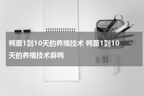 鸭苗1到10天的养殖技术 鸭苗1到10天的养殖技术麻鸭