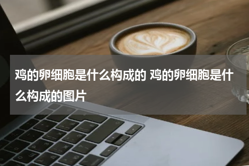 鸡的卵细胞是什么构成的 鸡的卵细胞是什么构成的图片
