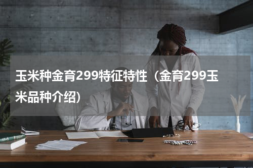 玉米种金育299特征特性（金育299玉米品种介绍）
