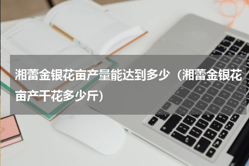 湘蕾金银花亩产量能达到多少（湘蕾金银花亩产干花多少斤）
