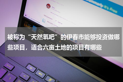 被称为“天然氧吧”的伊春市能够投资做哪些项目，适合六亩土地的项目有哪些
