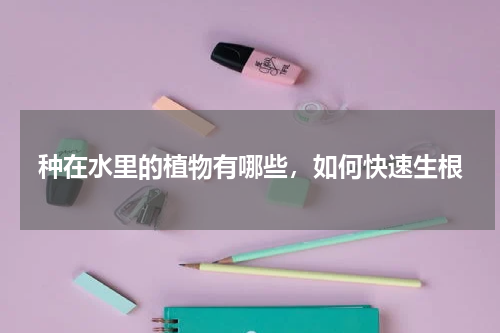 种在水里的植物有哪些，如何快速生根