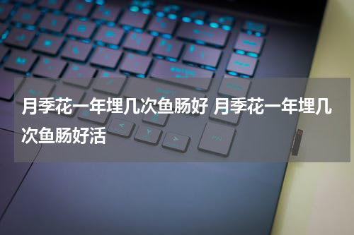 月季花一年埋几次鱼肠好 月季花一年埋几次鱼肠好活