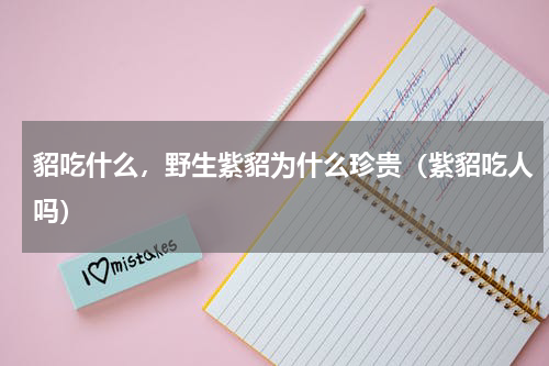 貂吃什么，野生紫貂为什么珍贵（紫貂吃人吗）