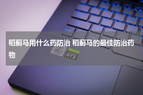 稻蓟马用什么药防治 稻蓟马的最佳防治药物
