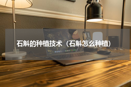 石斛的种植技术（石斛怎么种植）