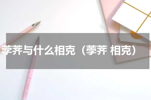 茡荠与什么相克（荸荠 相克）