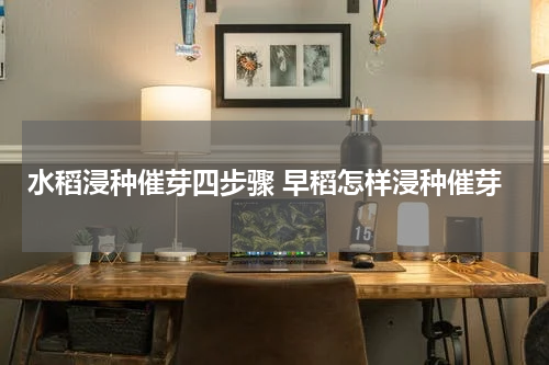 水稻浸种催芽四步骤 早稻怎样浸种催芽