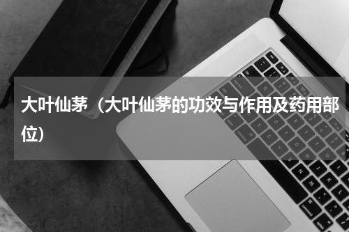 大叶仙茅（大叶仙茅的功效与作用及药用部位）