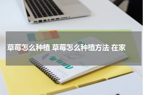 草莓怎么种植 草莓怎么种植方法 在家