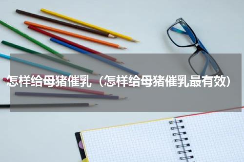 怎样给母猪催乳（怎样给母猪催乳最有效）