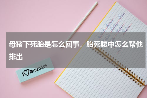 母猪下死胎是怎么回事，胎死腹中怎么帮他排出