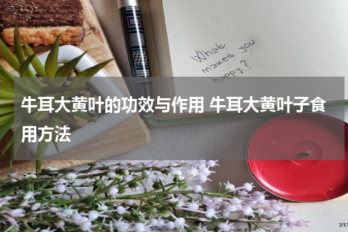 牛耳大黄叶的功效与作用 牛耳大黄叶子食用方法