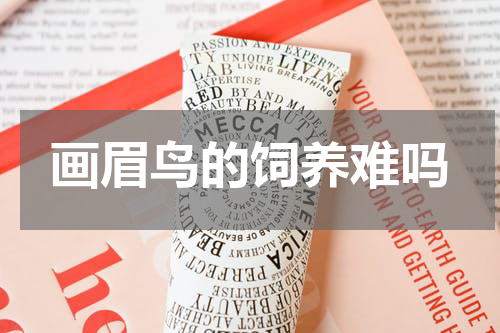 画眉鸟的饲养难吗