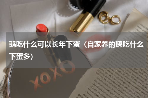 鹅吃什么可以长年下蛋（自家养的鹅吃什么下蛋多）