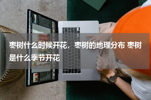 枣树什么时候开花，枣树的地理分布 枣树是什么季节开花