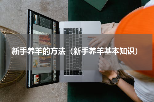 新手养羊的方法（新手养羊基本知识）