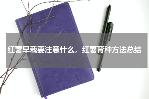 红薯早栽要注意什么，红薯育种方法总结