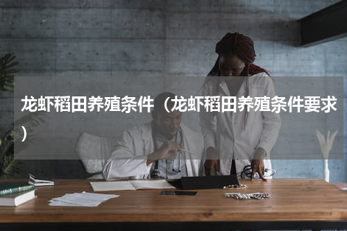 龙虾稻田养殖条件（龙虾稻田养殖条件要求）