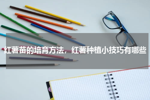 红薯苗的培育方法，红薯种植小技巧有哪些