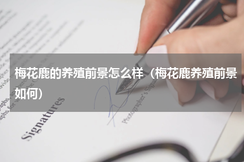 梅花鹿的养殖前景怎么样（梅花鹿养殖前景如何）