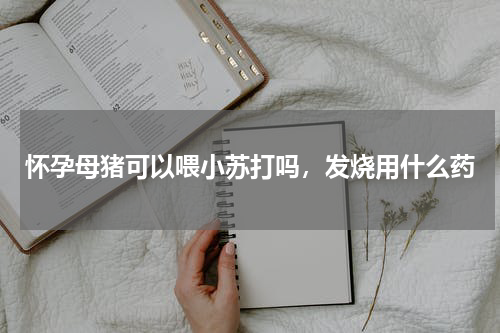 怀孕母猪可以喂小苏打吗，发烧用什么药