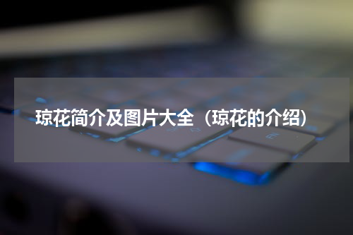 琼花简介及图片大全（琼花的介绍）