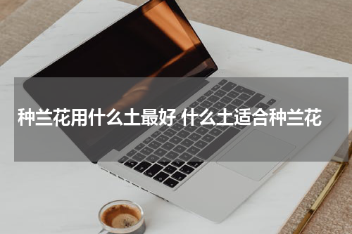 种兰花用什么土最好 什么土适合种兰花
