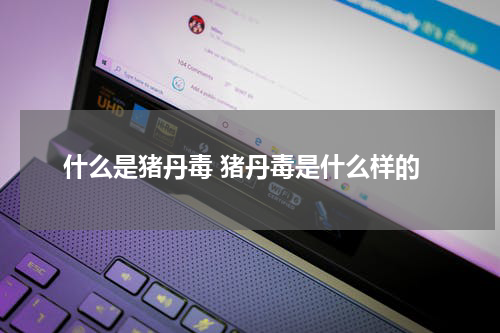 什么是猪丹毒 猪丹毒是什么样的