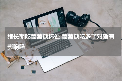 猪长期吃葡萄糖坏处 葡萄糖吃多了对猪有影响吗