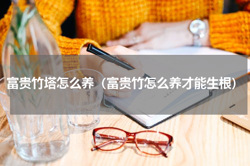 富贵竹塔怎么养（富贵竹怎么养才能生根）