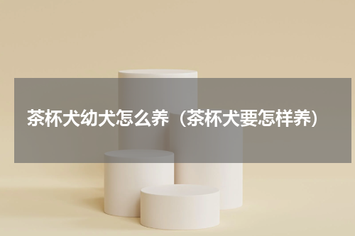 茶杯犬幼犬怎么养（茶杯犬要怎样养）