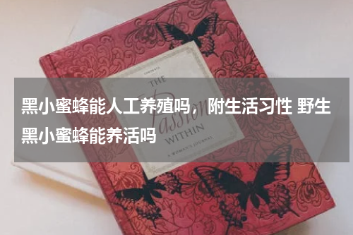 黑小蜜蜂能人工养殖吗，附生活习性 野生黑小蜜蜂能养活吗