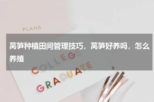 莴笋种植田间管理技巧，莴笋好养吗，怎么养殖