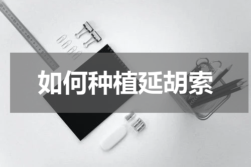 如何种植延胡索