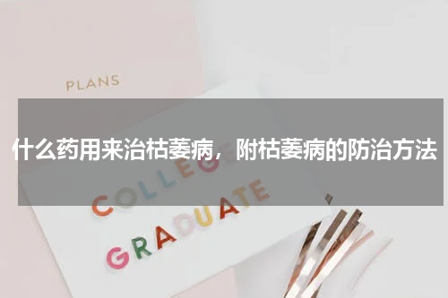 什么药用来治枯萎病，附枯萎病的防治方法