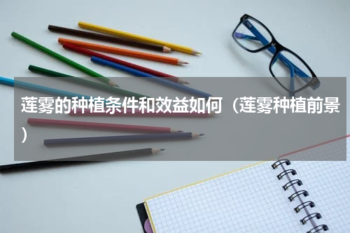 莲雾的种植条件和效益如何（莲雾种植前景）