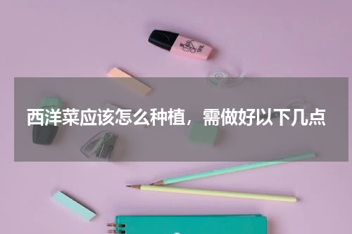 西洋菜应该怎么种植，需做好以下几点